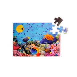 Magnetic Puzzles with...